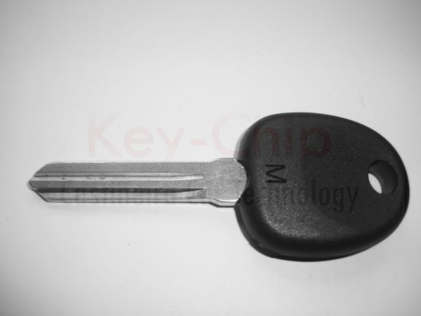 Hyundai Schlüsselgehäuse mit Chip 46 und Schlüsselrohling links