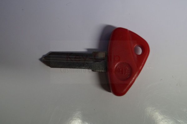 BMW Motorradschlüssel mit Schlüsselrohling (rot)